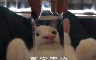 沙雕到极致的个性签名，沙雕到极致的个性签名五十字的