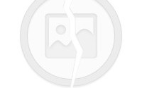 然谐音开头的四字成语，然谐音开头的四字成语有哪些