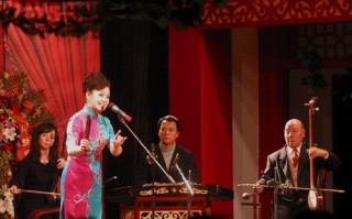 河南坠子大全，河南坠子大全免费播放