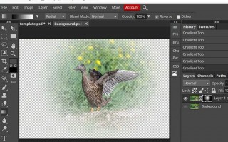 photoshop在线修图，photoshop在线修图手机端