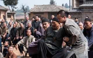 卷席筒全集播放，卷席筒全集播放免费