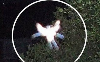 鬼事情 真实事件，鬼事情 真实事件视频